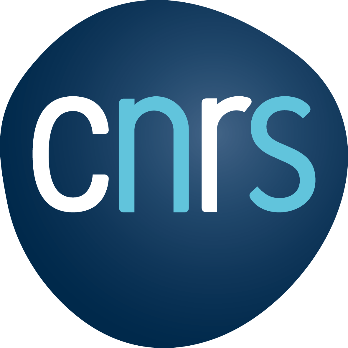 cnrs.png